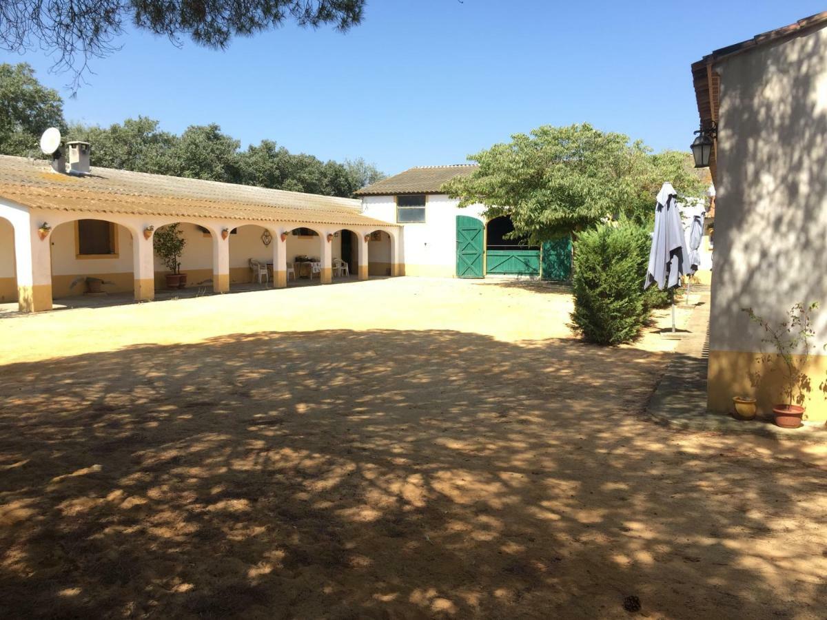 El Rocio 1 Gites Equestre Saintes-Maries-de-la-Mer Luaran gambar