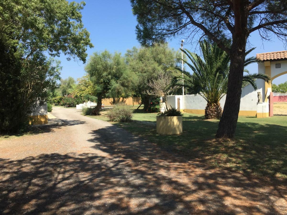 El Rocio 1 Gites Equestre Saintes-Maries-de-la-Mer Luaran gambar