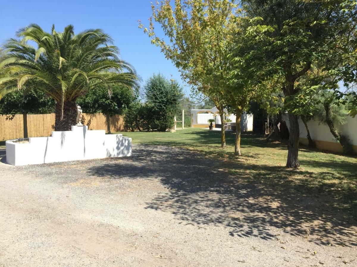El Rocio 1 Gites Equestre Saintes-Maries-de-la-Mer Luaran gambar